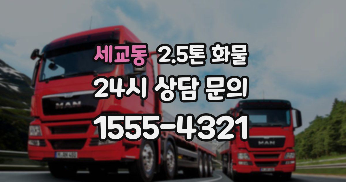 세교동 2.5톤 화물