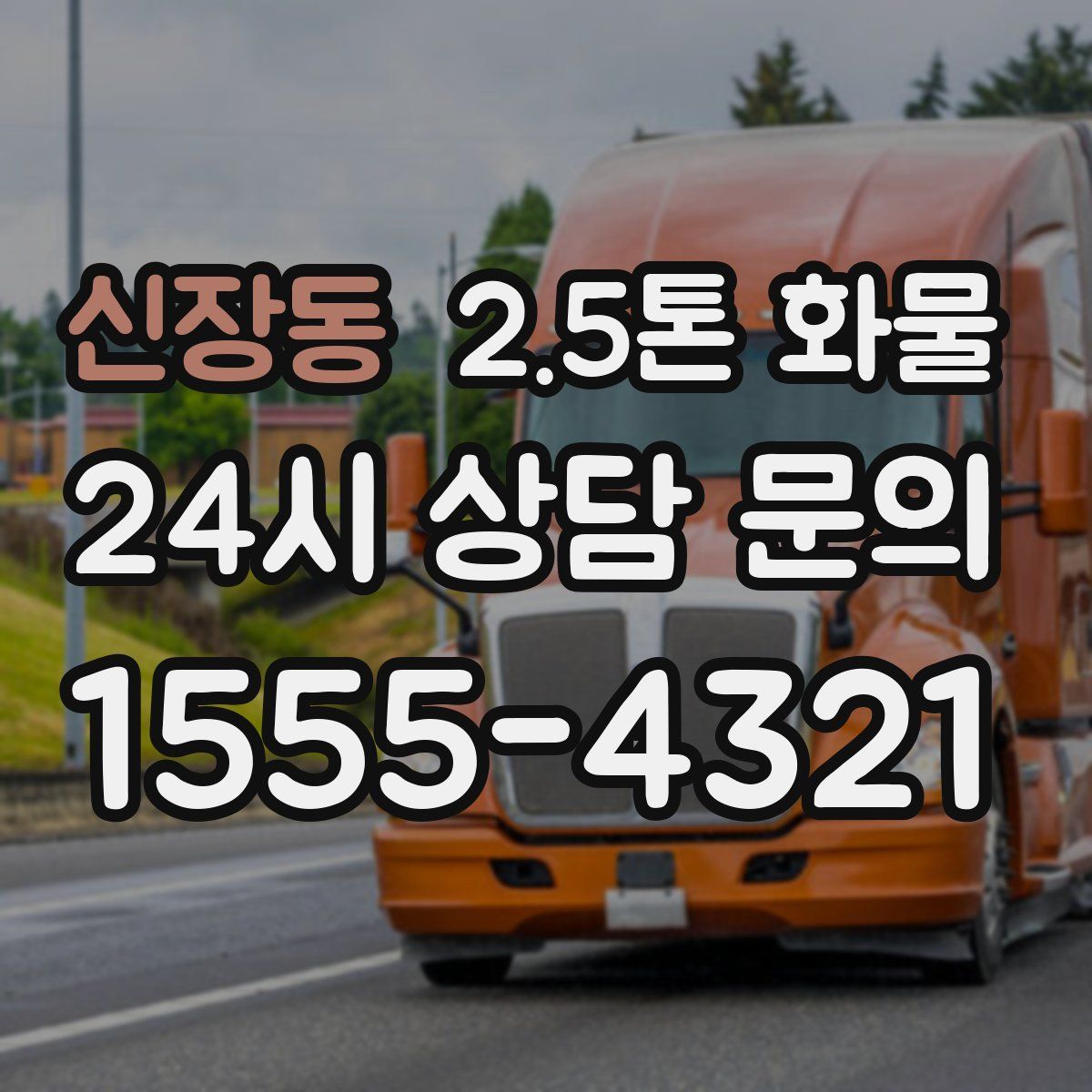 신장동 2.5톤 화물