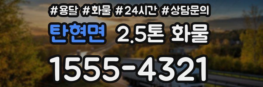 탄현면 2.5톤 화물