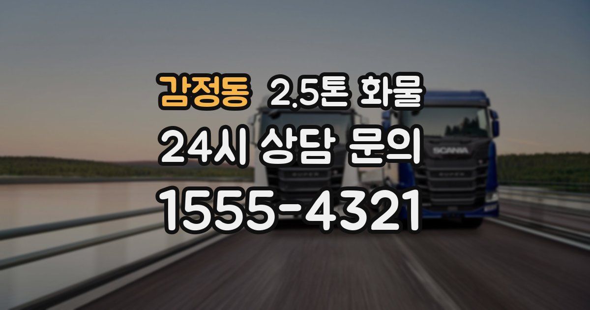 감정동 2.5톤 화물