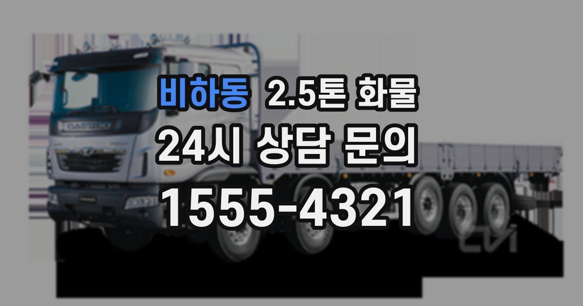 비하동 2.5톤 화물