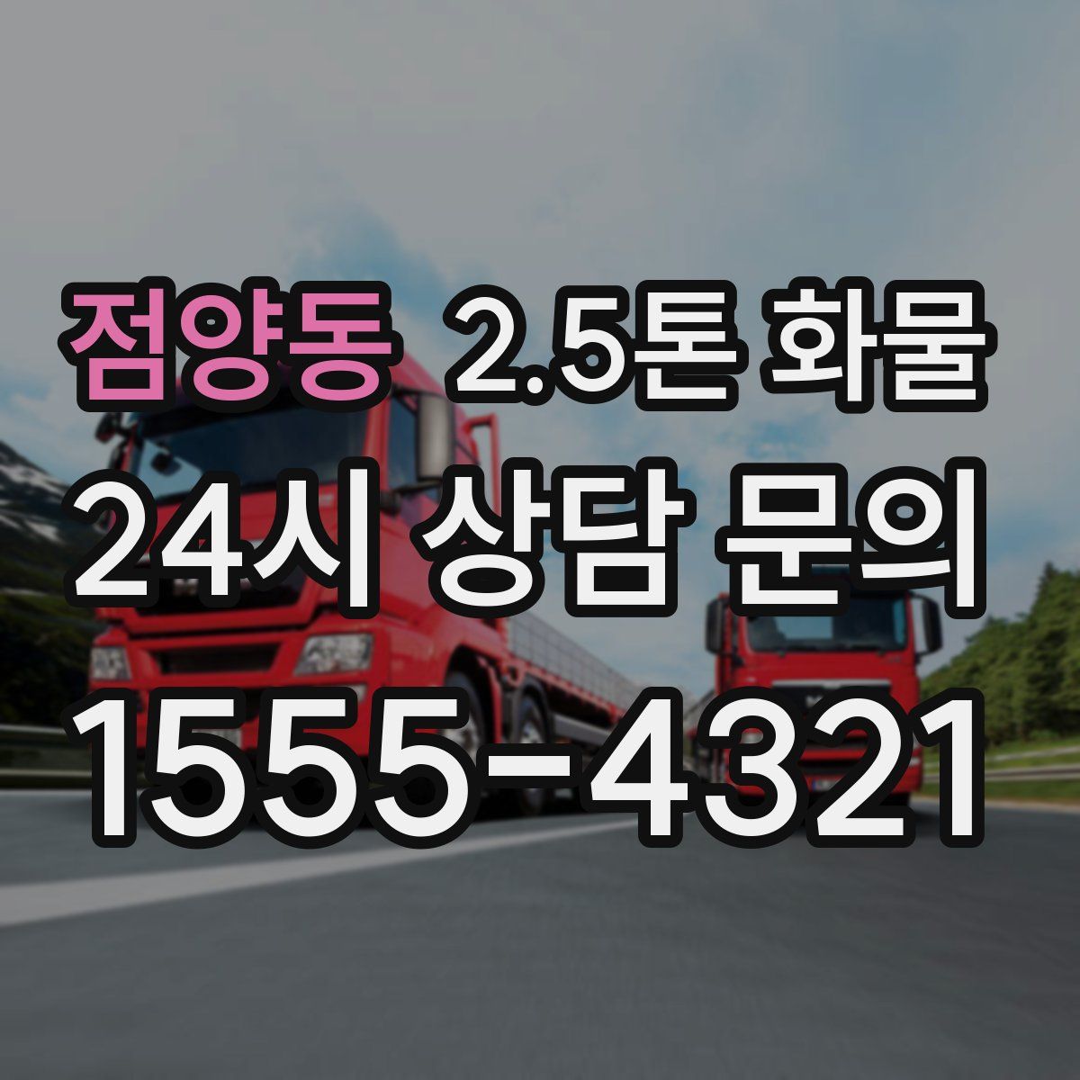 점양동 2.5톤 화물
