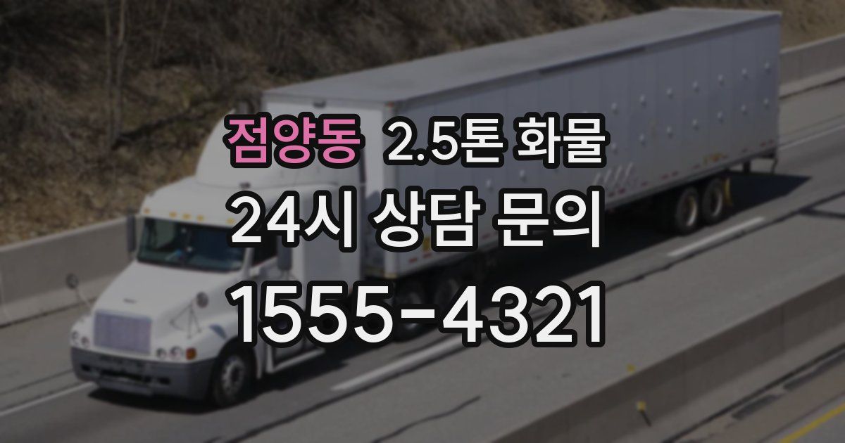 점양동 2.5톤 화물