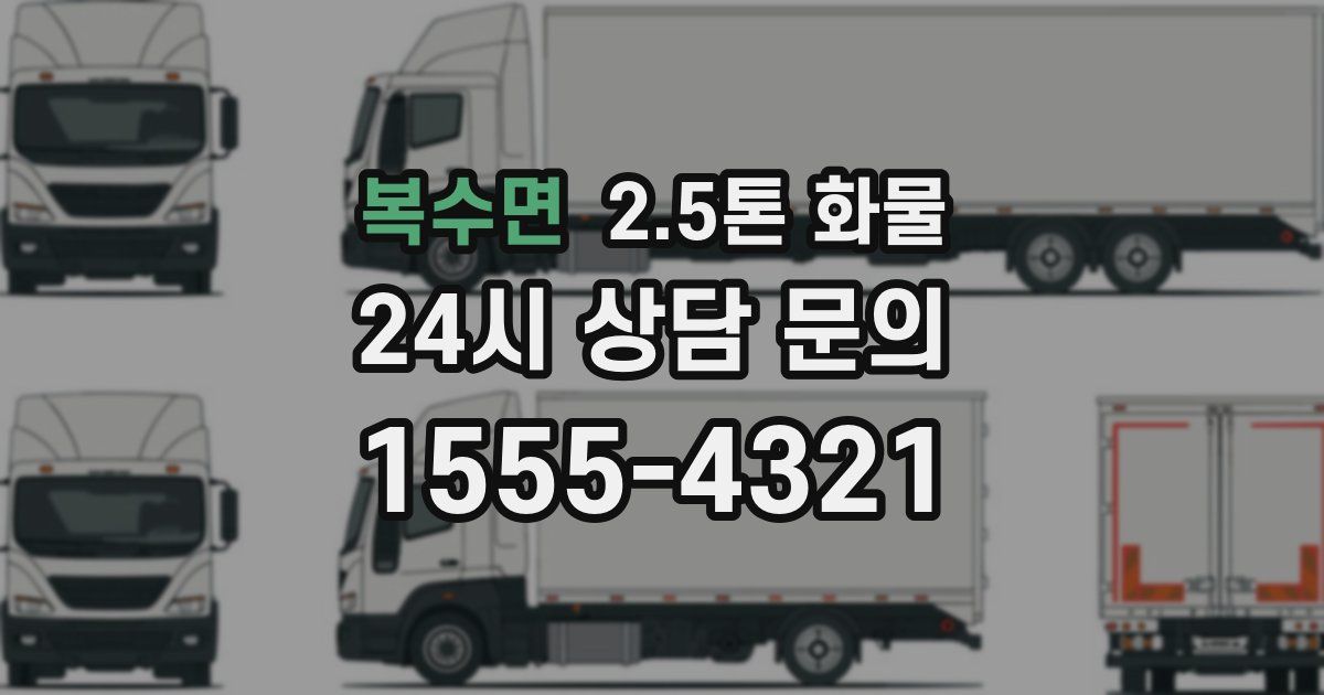 복수면 2.5톤 화물