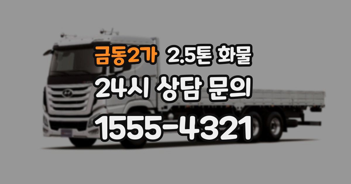 금동2가 2.5톤 화물