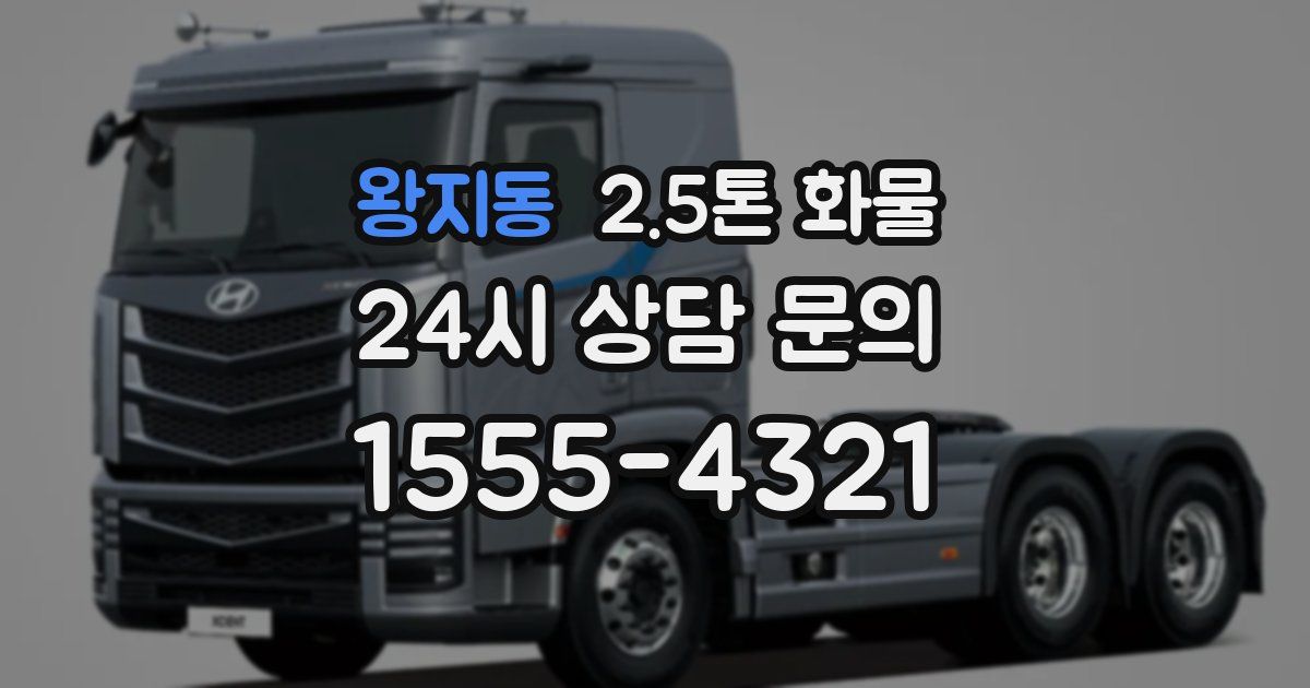 왕지동 2.5톤 화물