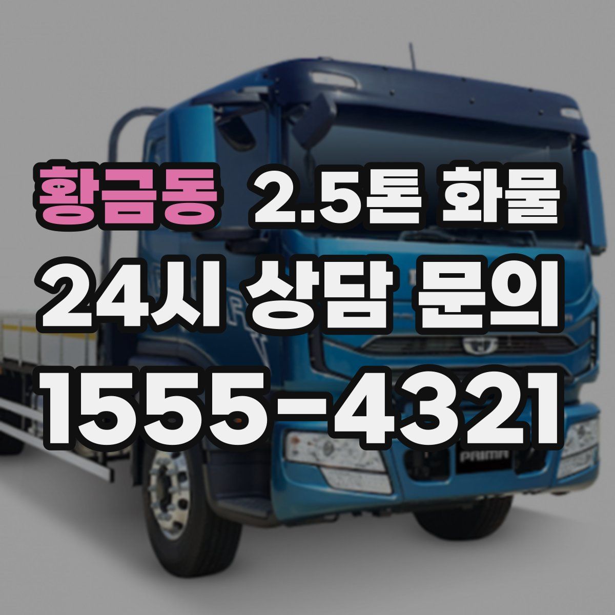 황금동 2.5톤 화물