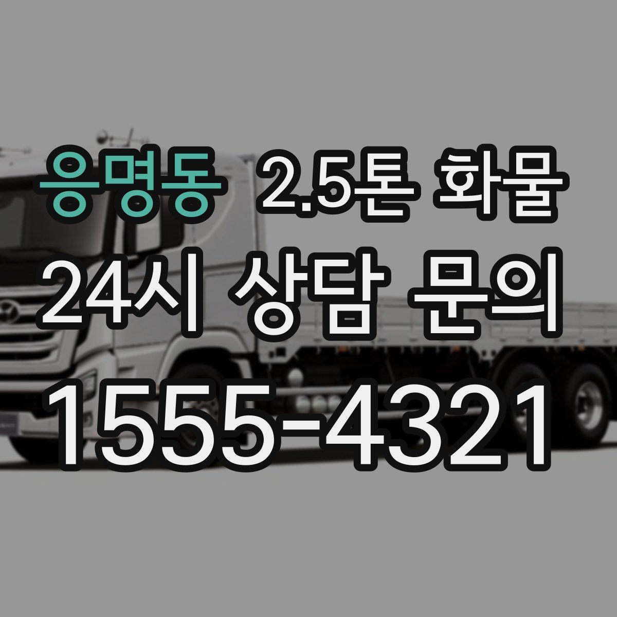 응명동 2.5톤 화물