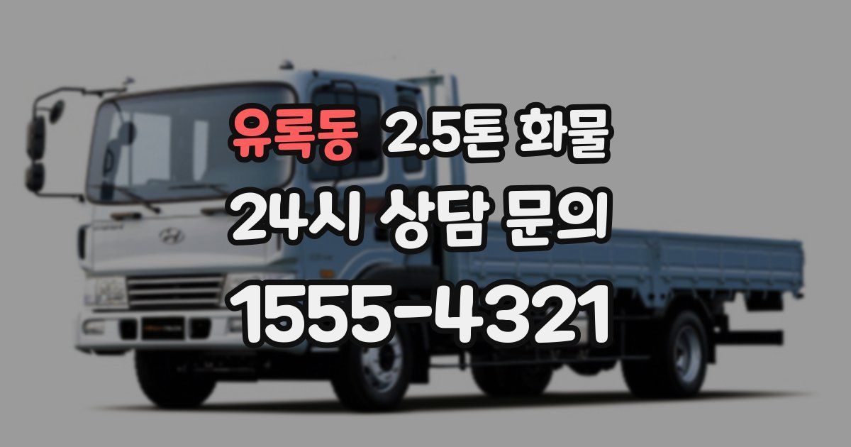 유록동 2.5톤 화물