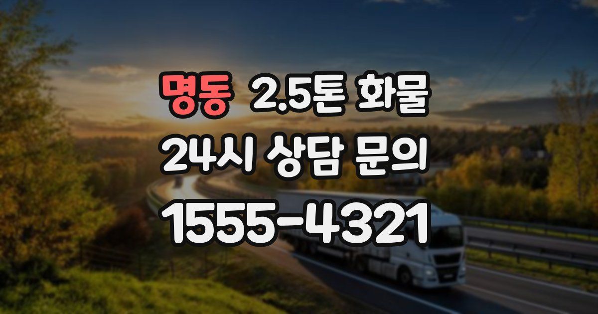 명동 2.5톤 화물