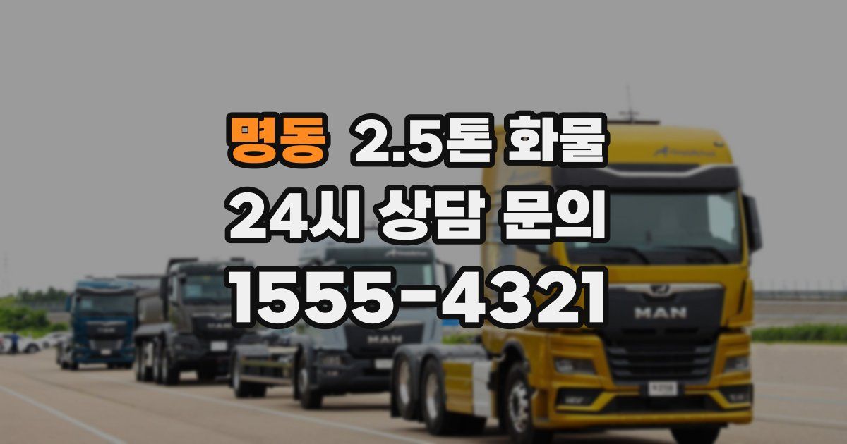 명동 2.5톤 화물