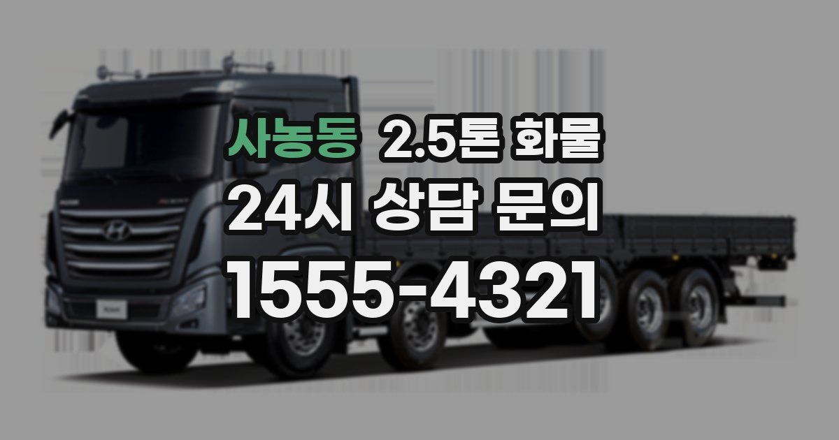 사농동 2.5톤 화물