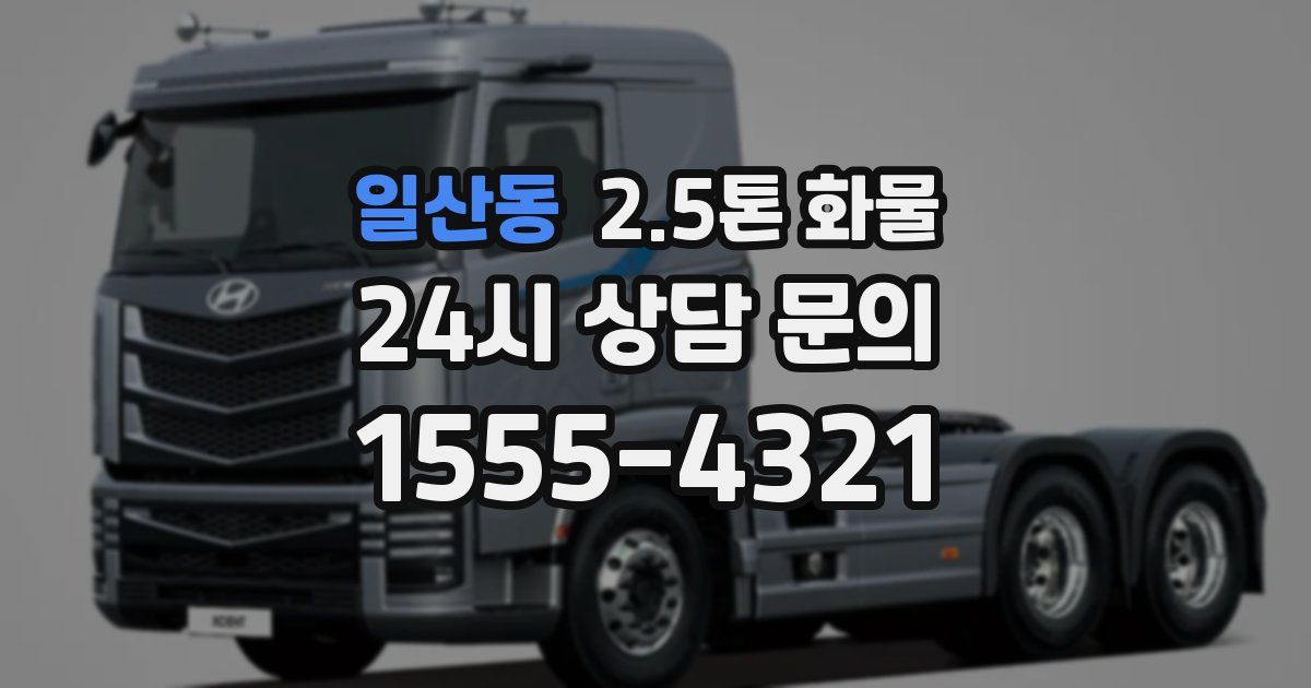 일산동 2.5톤 화물