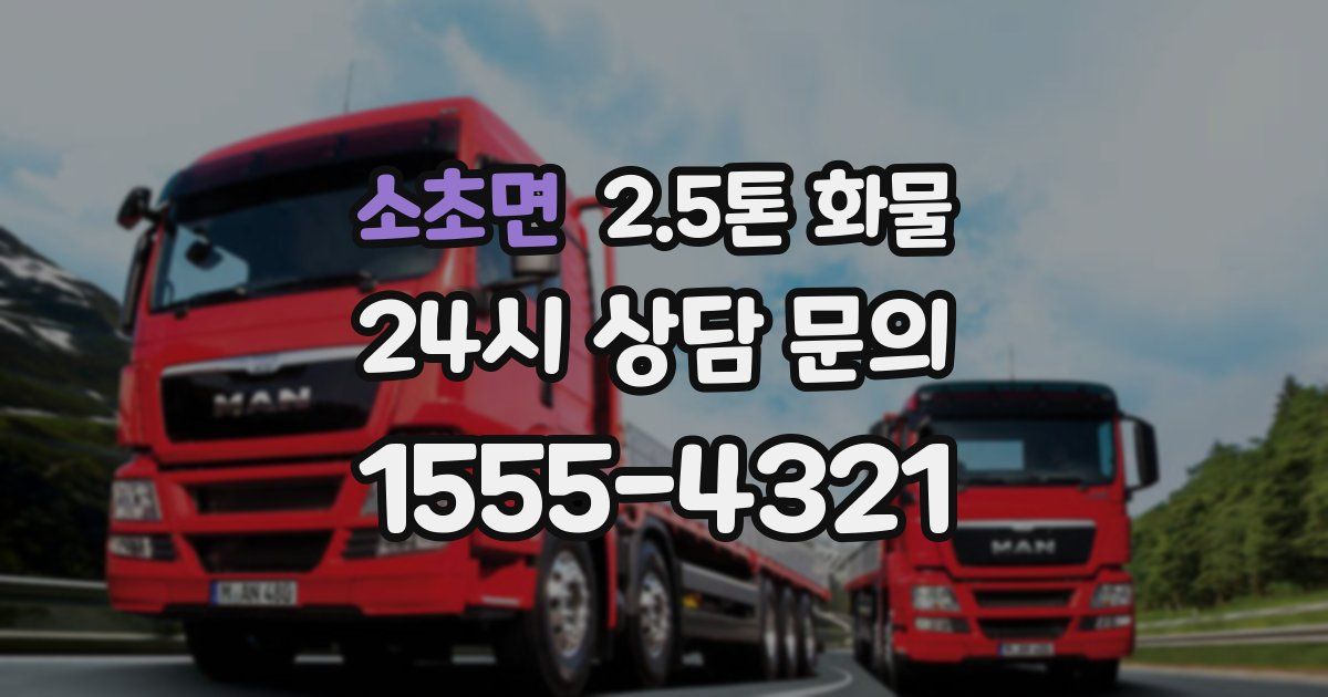소초면 2.5톤 화물