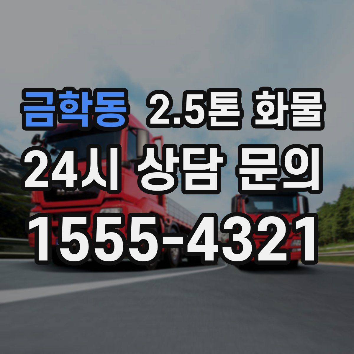 금학동 2.5톤 화물