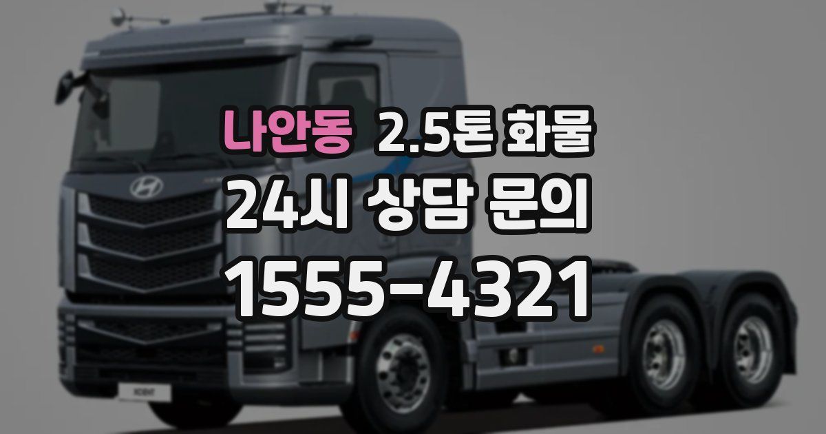 나안동 2.5톤 화물