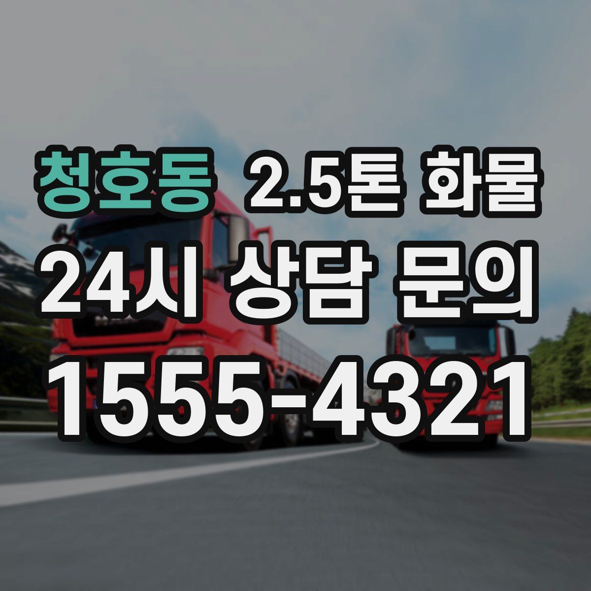 청호동 2.5톤 화물