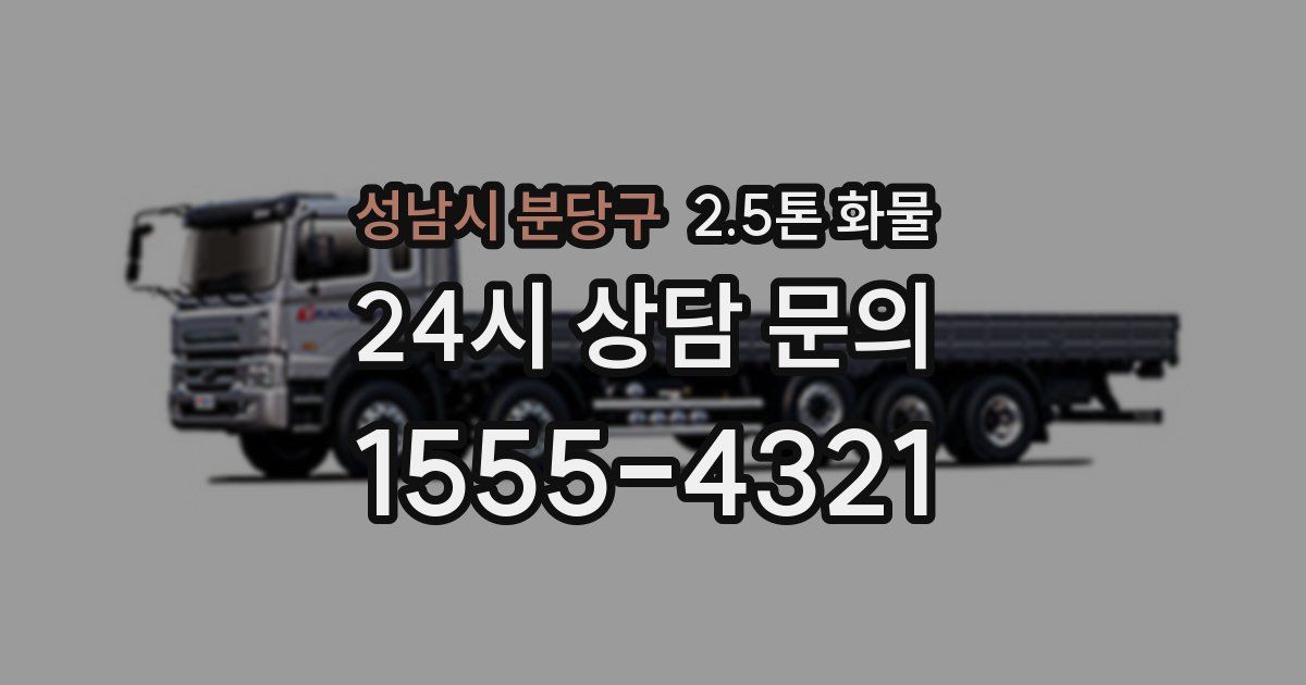 성남시 분당구 2.5톤 화물
