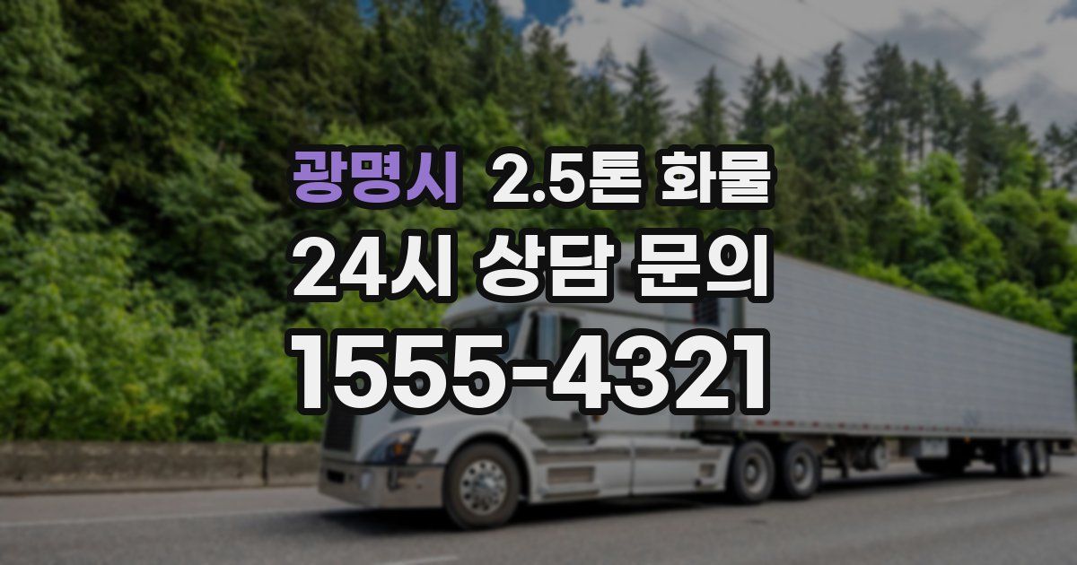 광명시 2.5톤 화물
