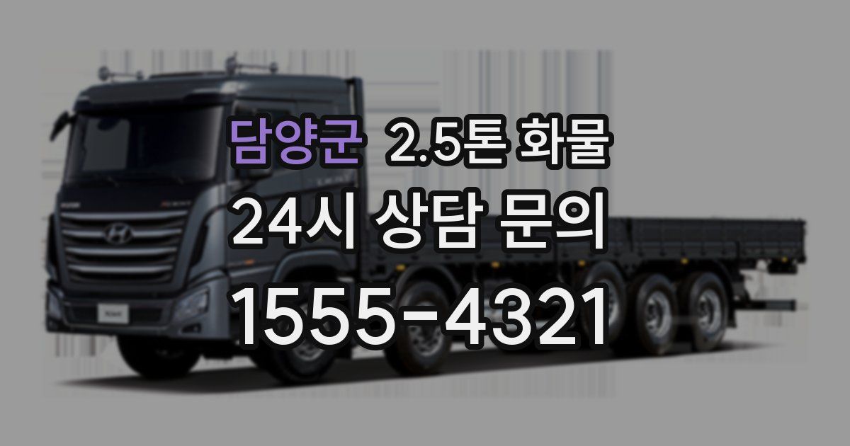 담양군 2.5톤 화물