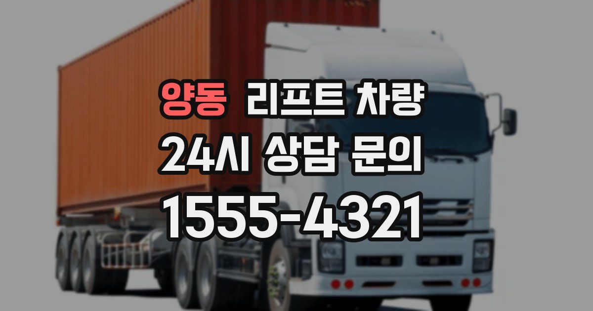양동 리프트 차량