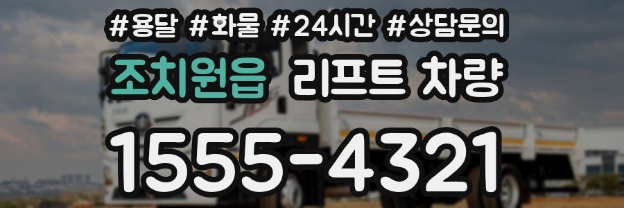 조치원읍 리프트 차량