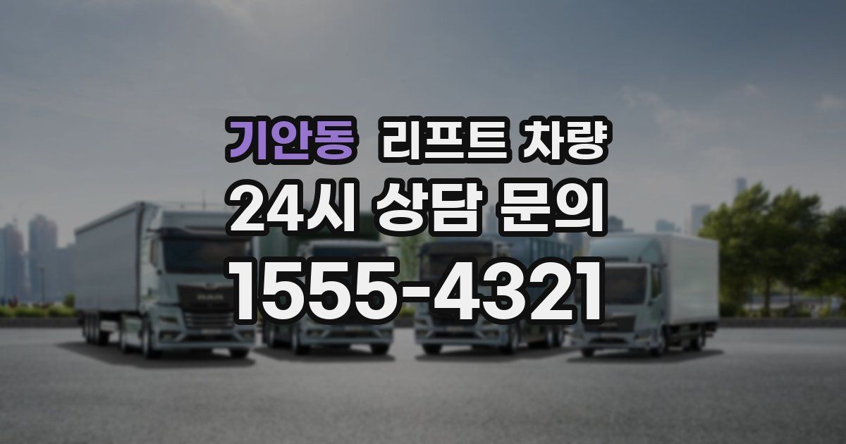 기안동 리프트 차량