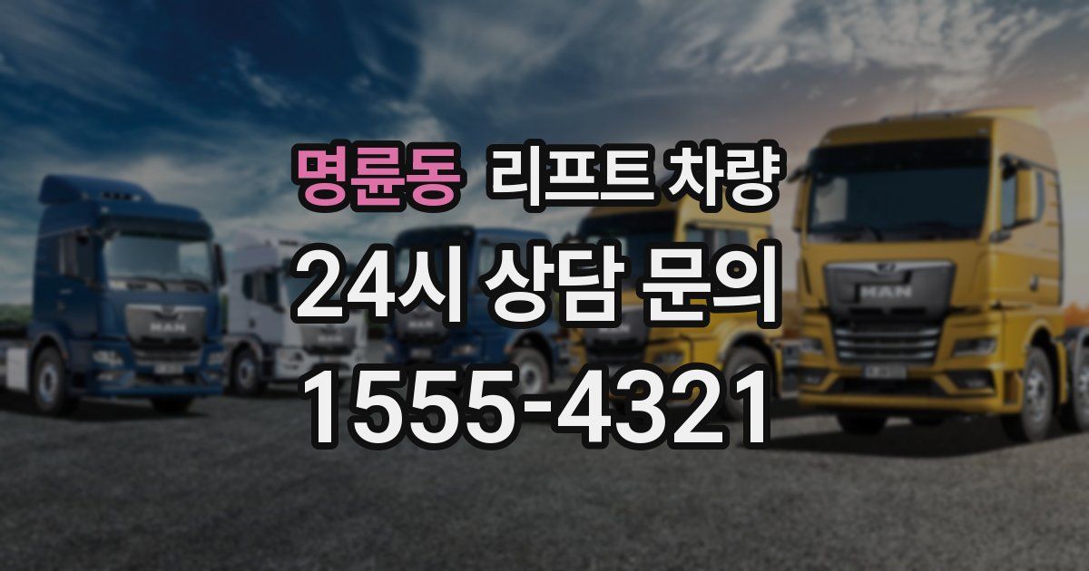 명륜동 리프트 차량