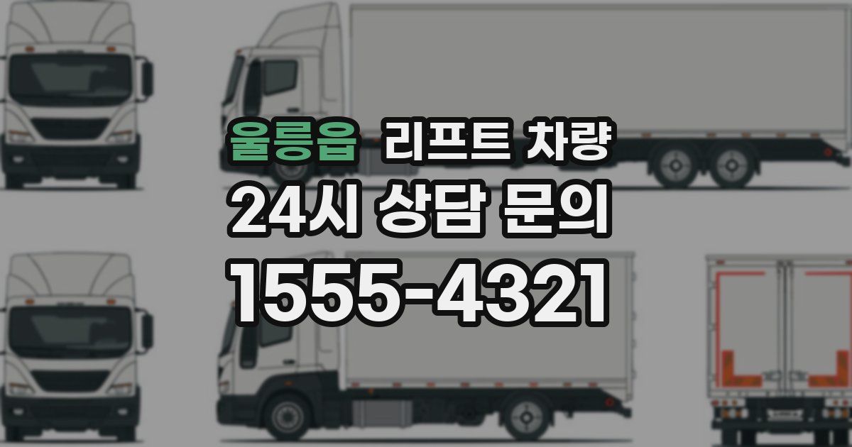 울릉읍 리프트 차량