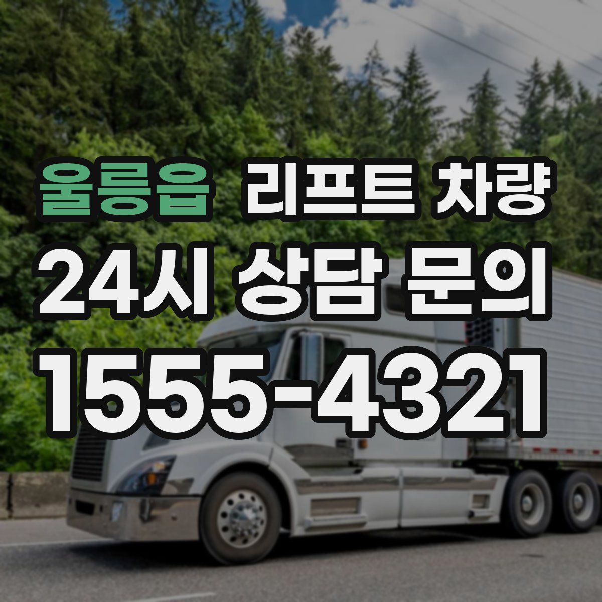 울릉읍 리프트 차량