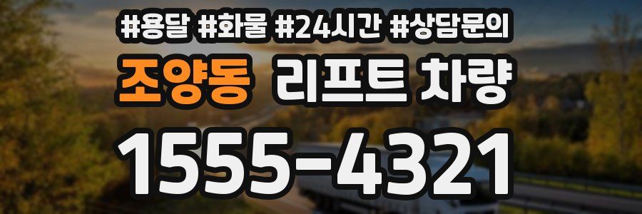 조양동 리프트 차량