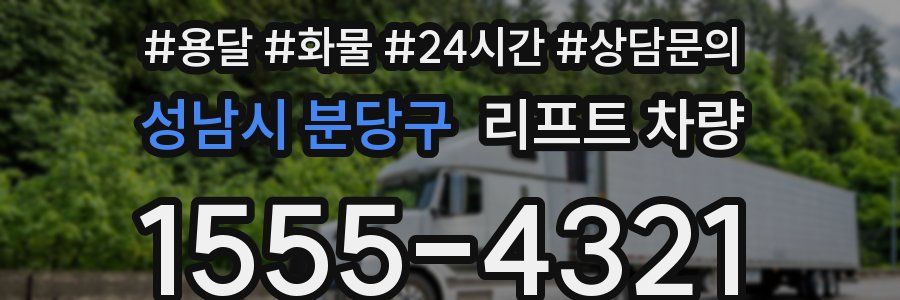 성남시 분당구 리프트 차량