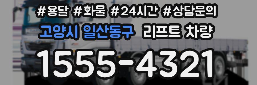 고양시 일산동구 리프트 차량