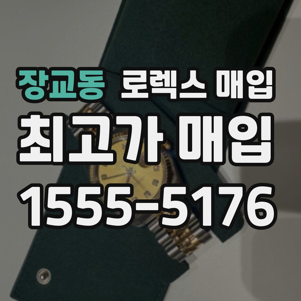 장교동 로렉스 매입