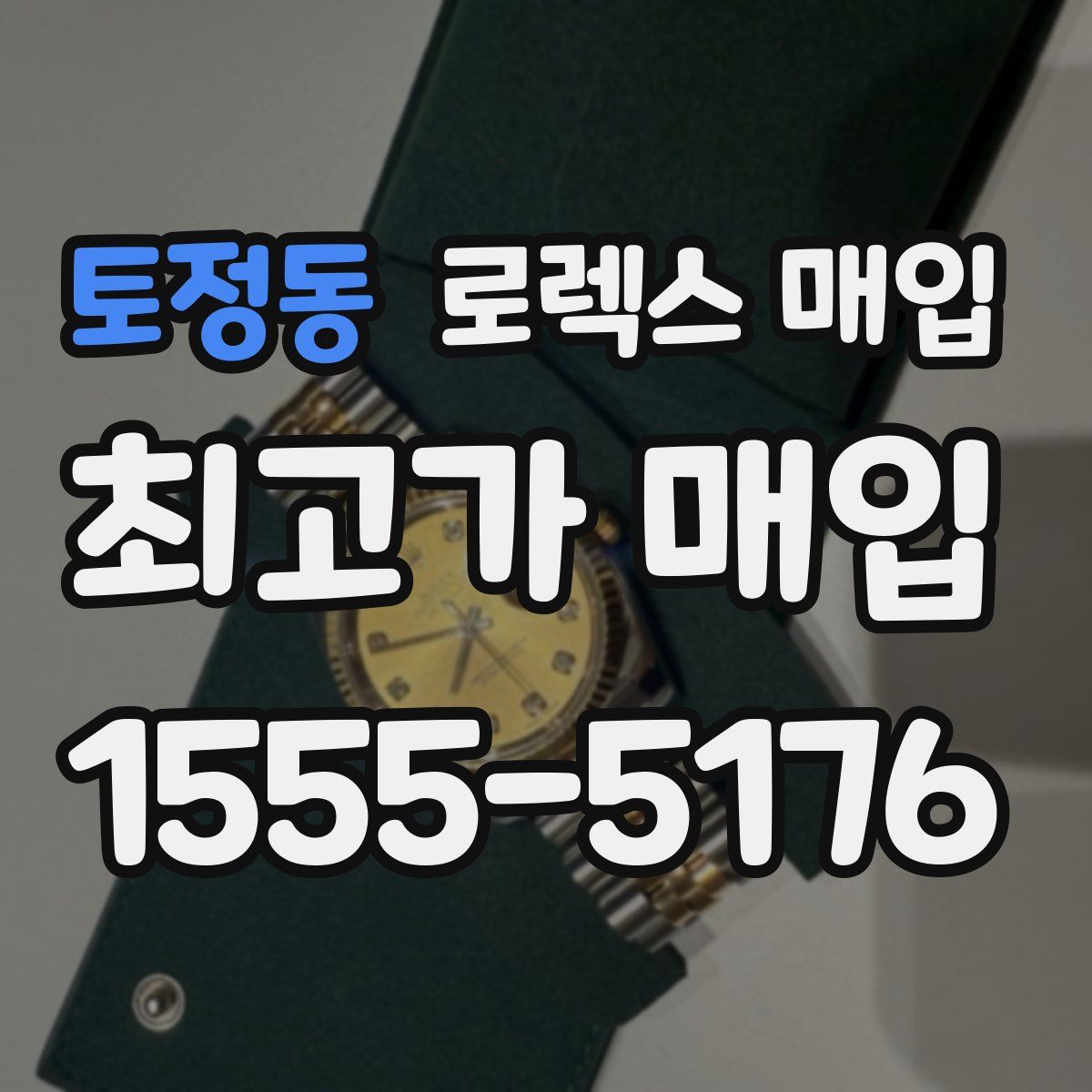 토정동 로렉스 매입