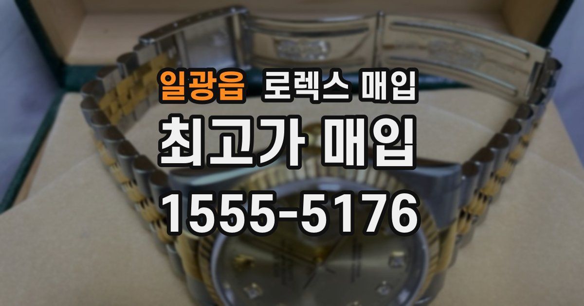 일광읍 로렉스 매입