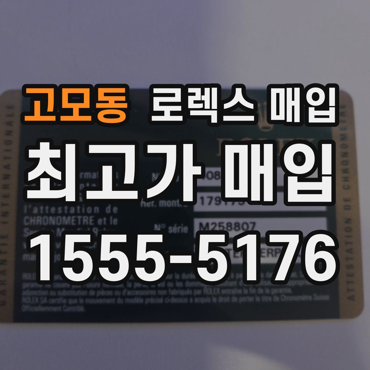 고모동 로렉스 매입