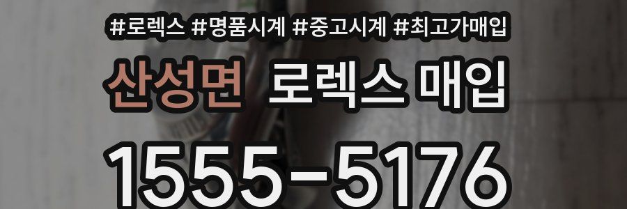 산성면 로렉스 매입