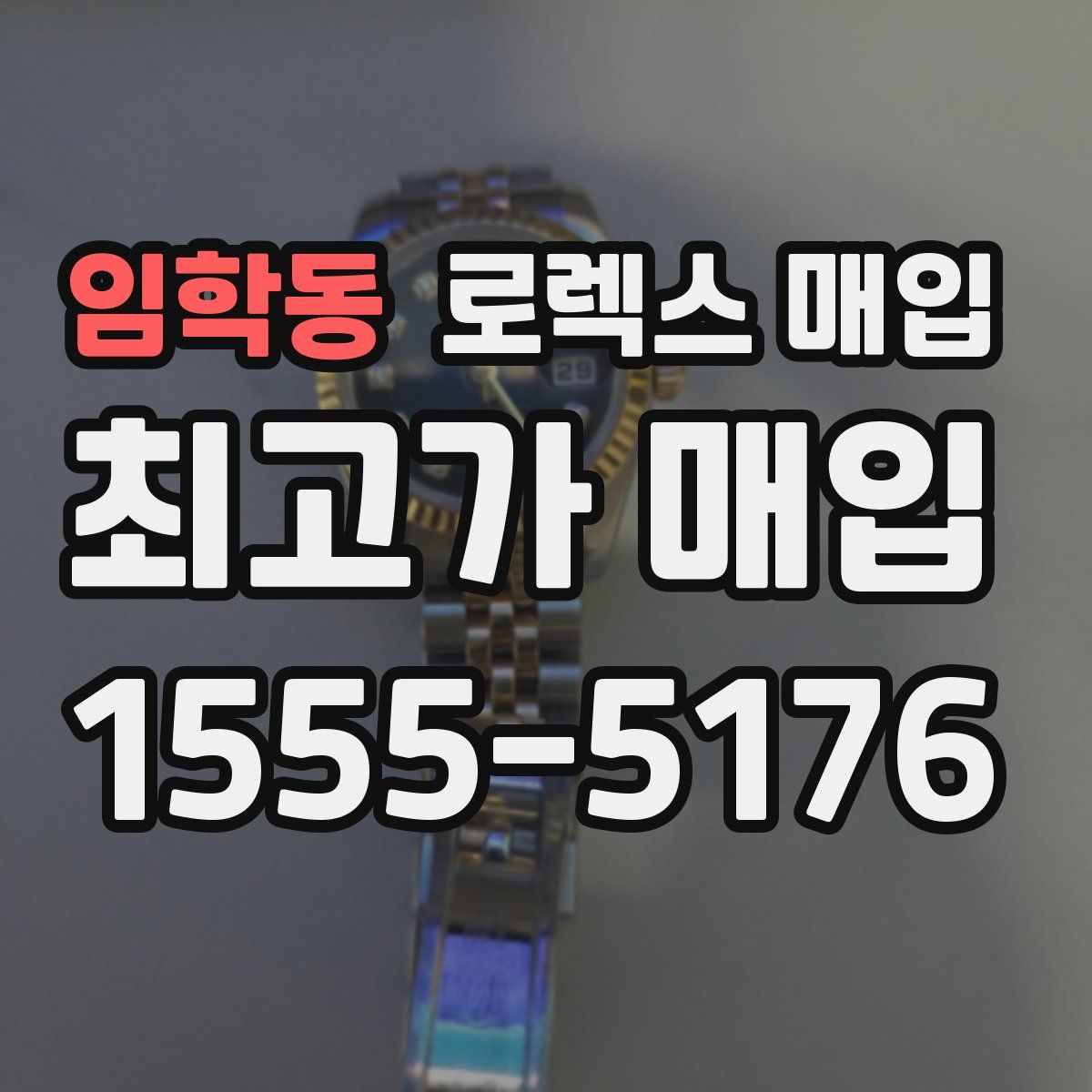 임학동 로렉스 매입