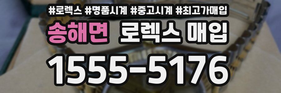 송해면 로렉스 매입