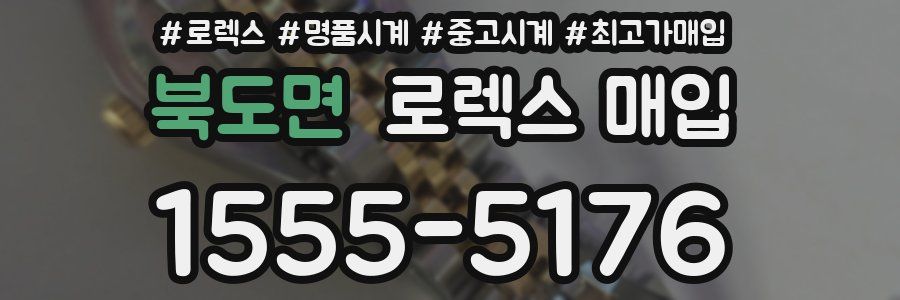 북도면 로렉스 매입