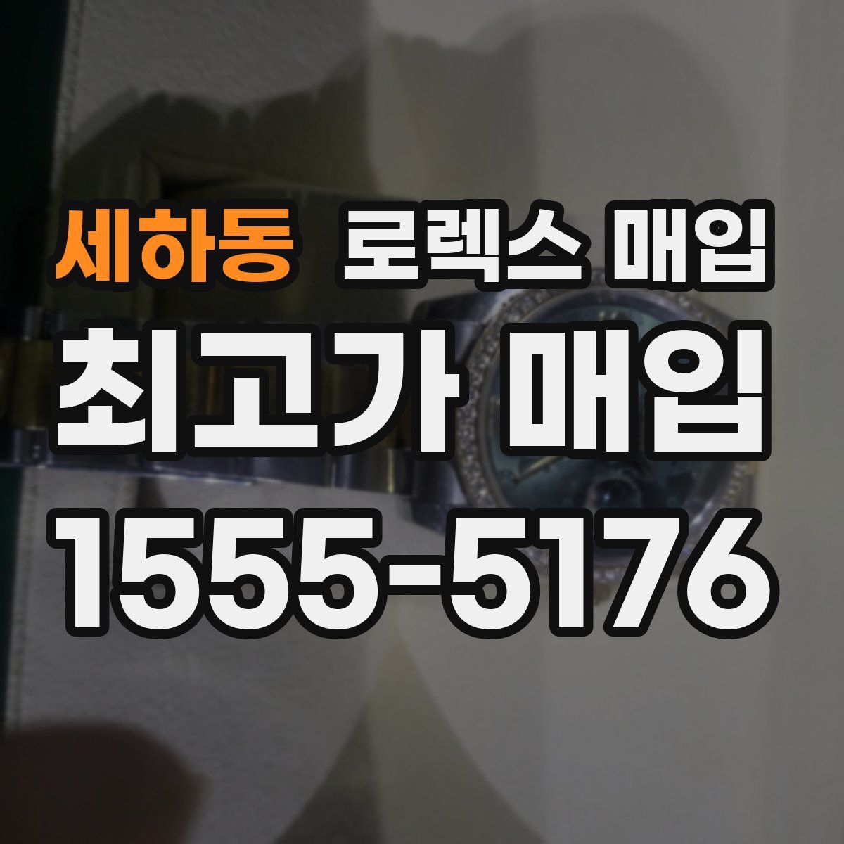 세하동 로렉스 매입