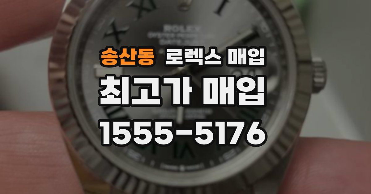 송산동 로렉스 매입