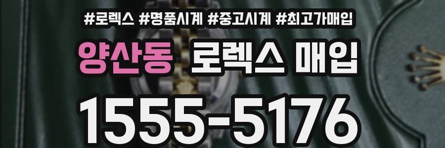 양산동 로렉스 매입