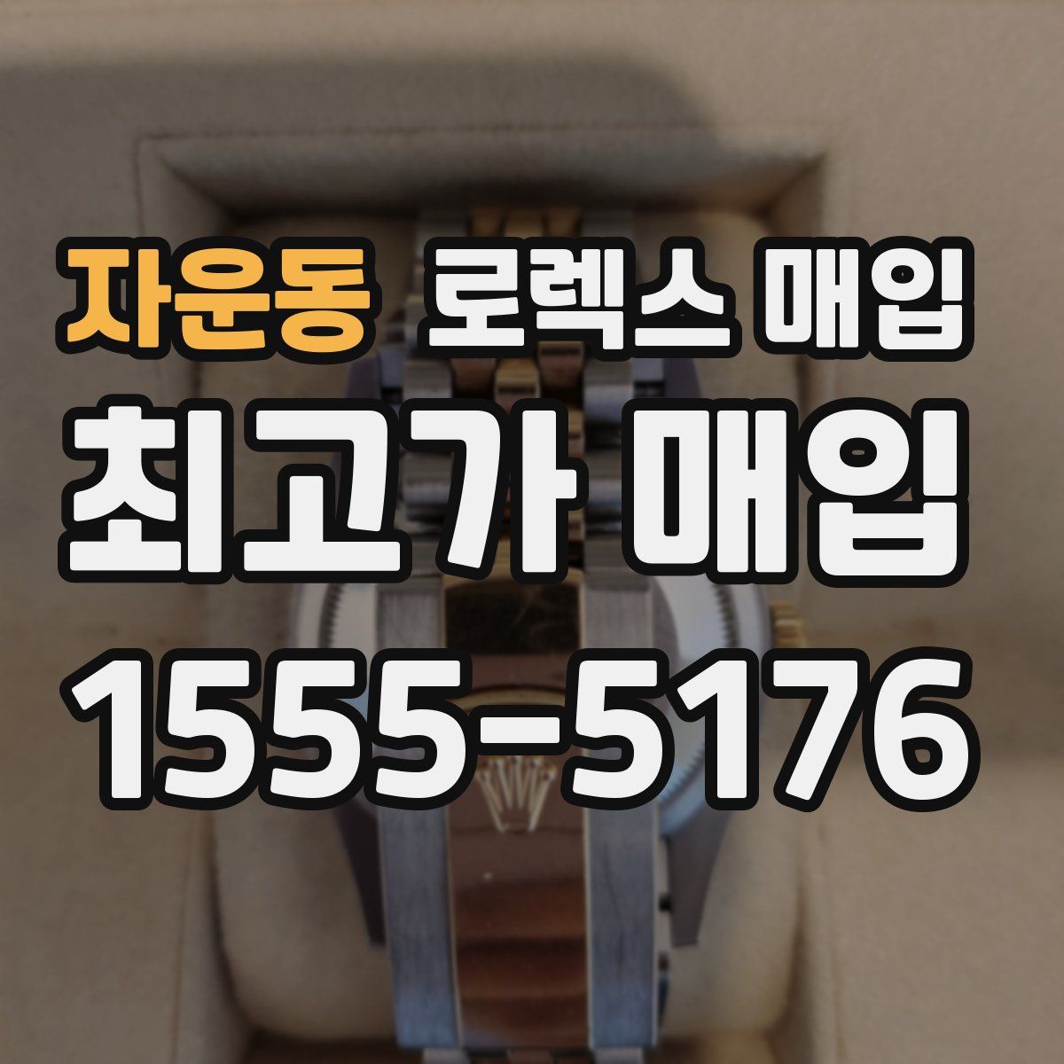 자운동 로렉스 매입