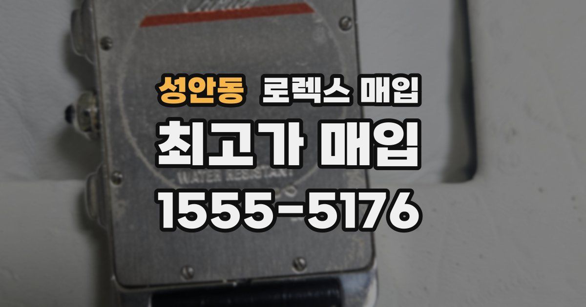 성안동 로렉스 매입