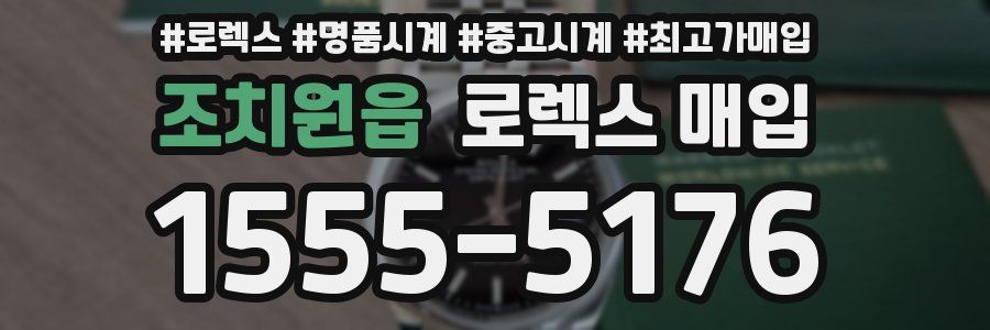 조치원읍 로렉스 매입