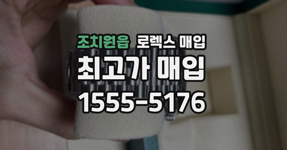 조치원읍 로렉스 매입