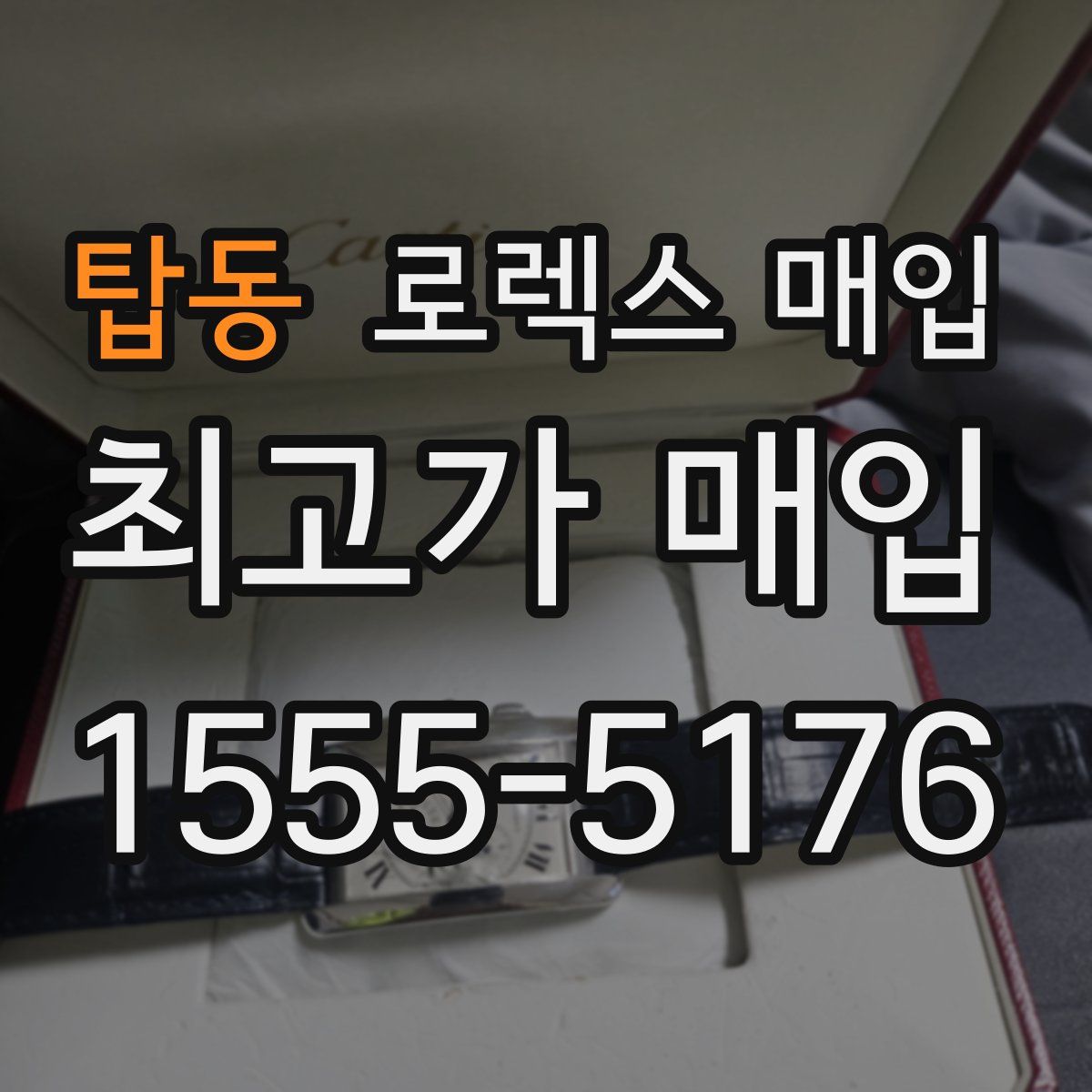 탑동 로렉스 매입