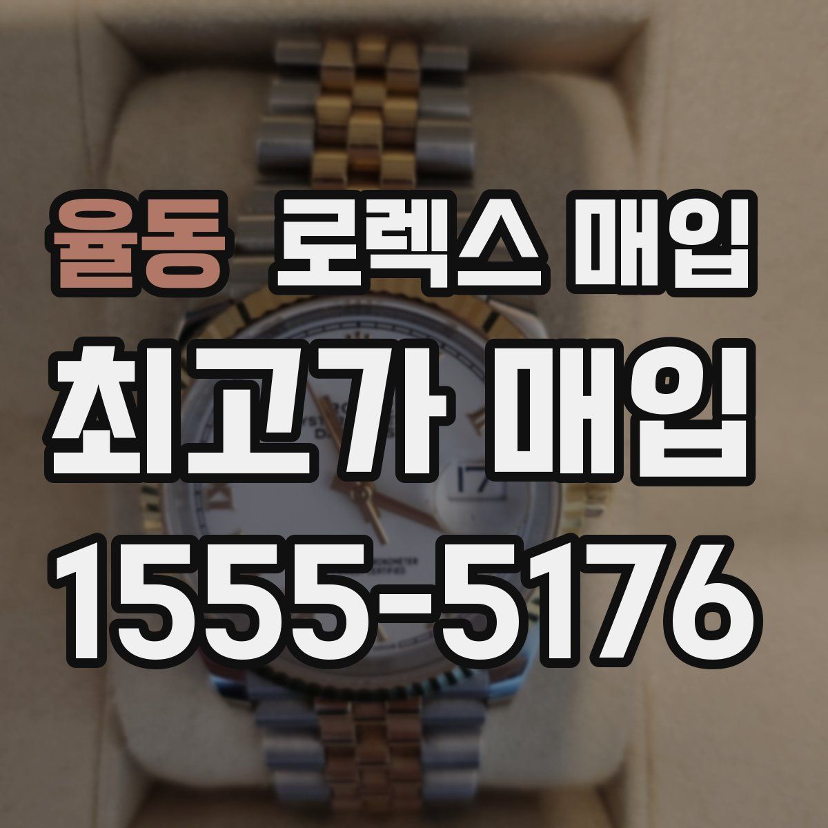 율동 로렉스 매입